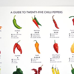 Chilli Peppers Guide Poster A4/A3/A2 Kitchen Print, Food Wall Art, Recipes, Cooking Decor, Dining Room, Home Print, Hot Chillies, World image 2