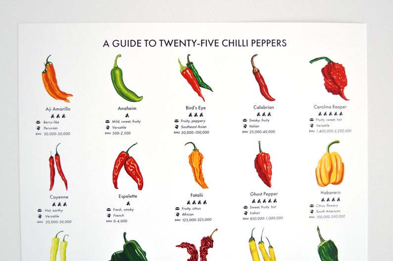 Chilli Peppers Guide Poster A4/A3/A2 Kitchen Print, Food Wall Art, Recipes, Cooking Decor, Dining Room, Home Print, Hot Chillies, World image 2