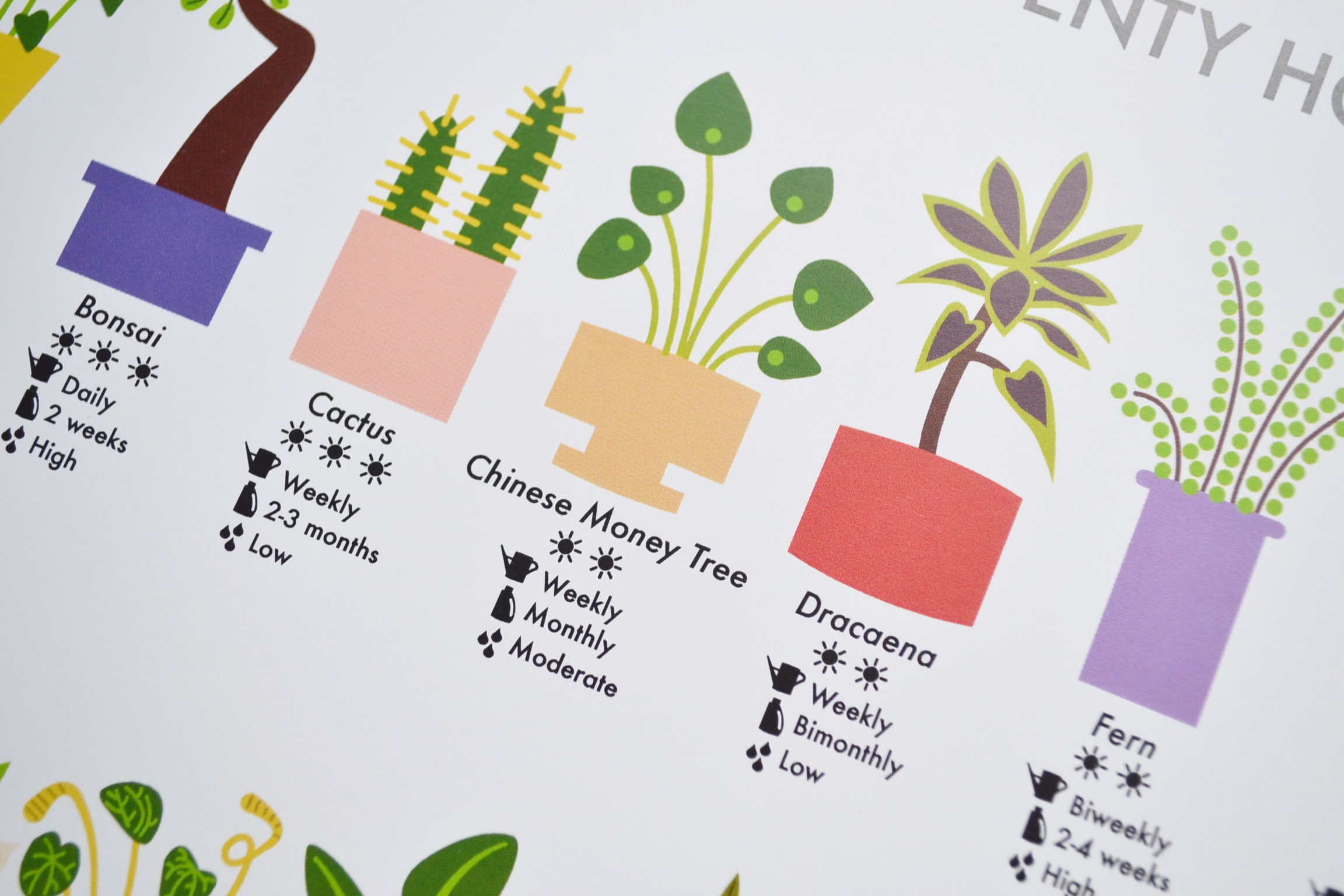 How Not to Kill Your Houseplant: Survival Tips for the Horticulturally Challenge