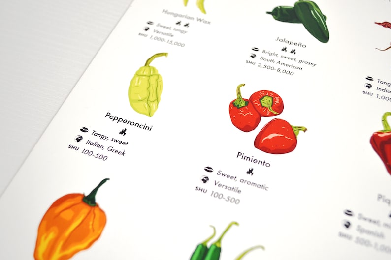 Chilli Peppers Guide Poster A4/A3/A2 Kitchen Print, Food Wall Art, Recipes, Cooking Decor, Dining Room, Home Print, Hot Chillies, World image 6