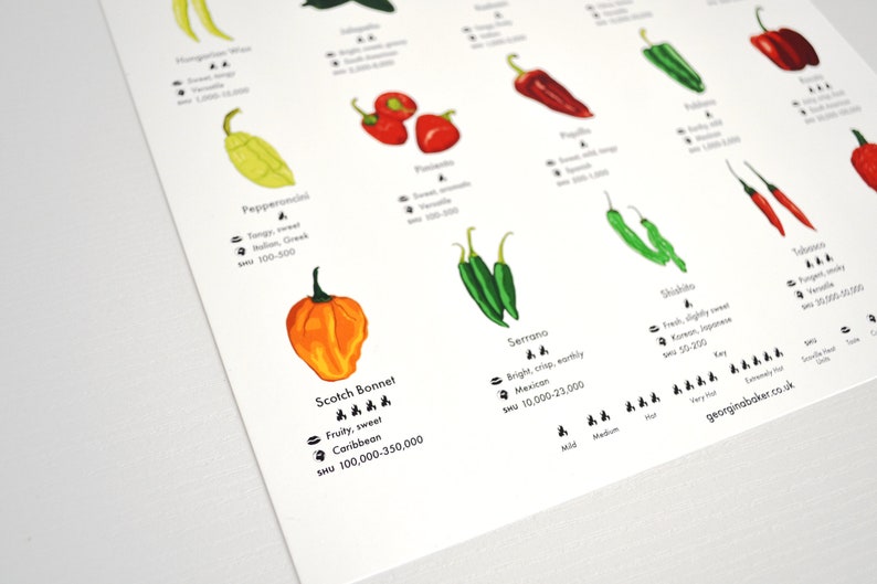 Chilli Peppers Guide Poster A4/A3/A2 Kitchen Print, Food Wall Art, Recipes, Cooking Decor, Dining Room, Home Print, Hot Chillies, World image 10