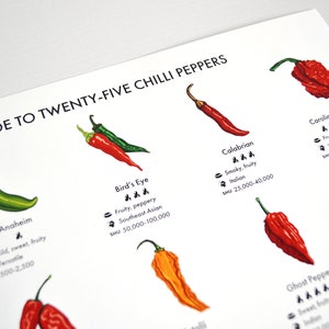 Chilli Peppers Guide Poster A4/A3/A2 Kitchen Print, Food Wall Art, Recipes, Cooking Decor, Dining Room, Home Print, Hot Chillies, World image 4