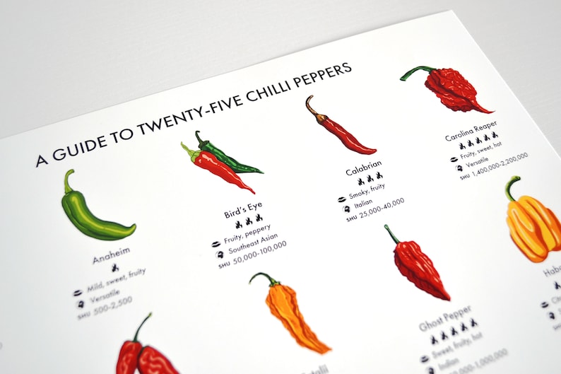 Chilli Peppers Guide Poster A4/A3/A2 Kitchen Print, Food Wall Art, Recipes, Cooking Decor, Dining Room, Home Print, Hot Chillies, World image 4