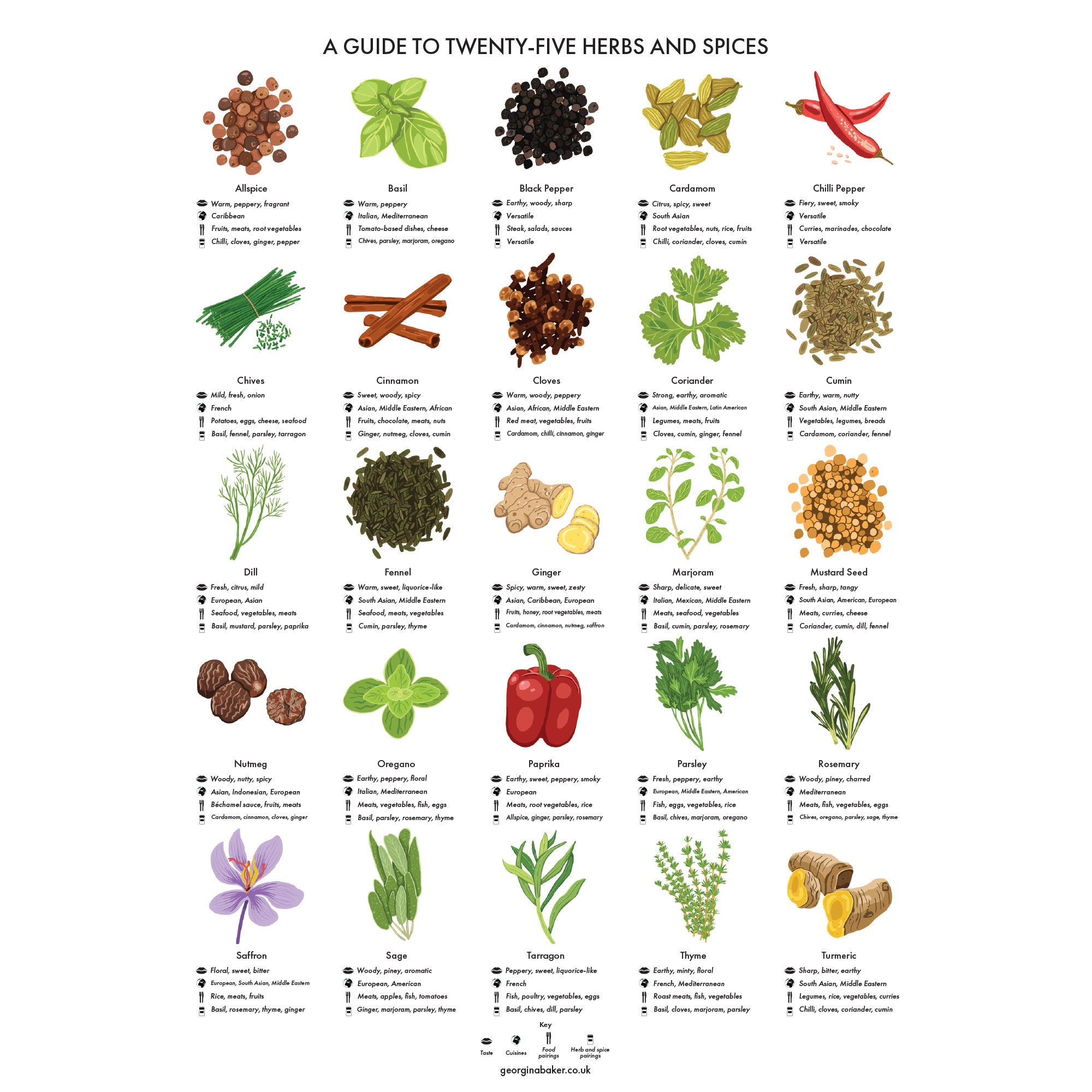 The World of Spices & Herbs, + printable guide