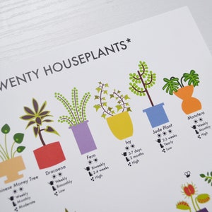 How Not to Kill Twenty Houseplants Poster A4 / A3 / A2 Houseplants Care Print, Plants Wall Art, Cacti, Plant Lovers Gift, Nature Lover image 4