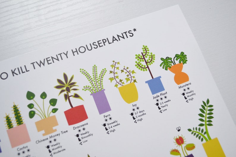 How Not to Kill Twenty Houseplants Poster A4 / A3 / A2 Houseplants Care Print, Plants Wall Art, Cacti, Plant Lovers Gift, Nature Lover image 4