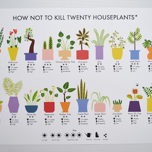 How Not to Kill Twenty Houseplants Poster A4 / A3 / A2 Houseplants Care Print, Plants Wall Art, Cacti, Plant Lovers Gift, Nature Lover image 2