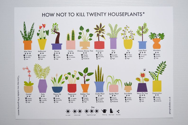 How Not to Kill Twenty Houseplants Poster A4 / A3 / A2 Houseplants Care Print, Plants Wall Art, Cacti, Plant Lovers Gift, Nature Lover image 2