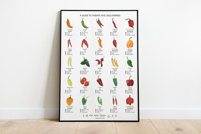 Chilli Peppers Guide Poster A4/A3/A2 Kitchen Print, Food Wall Art, Recipes, Cooking Decor, Dining Room, Home Print, Hot Chillies, World image 1