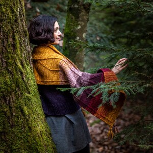 Peut inclure: Une femme portant un châle tricoté coloré avec un dégradé de jaune, de violet et de rouge. Elle se tient dans une forêt avec des arbres verts et des troncs d'arbres recouverts de mousse.