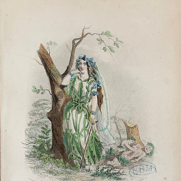 1867 Antieke botanische gravure met damebloem, Verbena, Tuinbloemenprint, oude botanische illustraties,