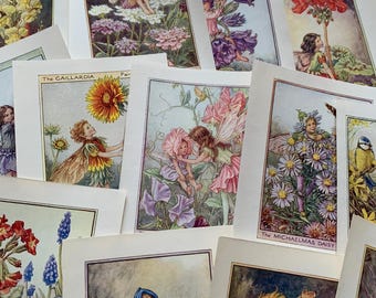 c.1930-1950 MEGA Set van 106 Bloemenfeeën Kinderen Kleurrijke Illustraties Plakboeken Uitnodigingskaarten Verhalen Sprookjes