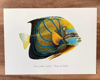 1977年製 金属製魚彫刻 A COPPER ARTICULATED MODEL OF A LOBSTER, 20TH CENTURY