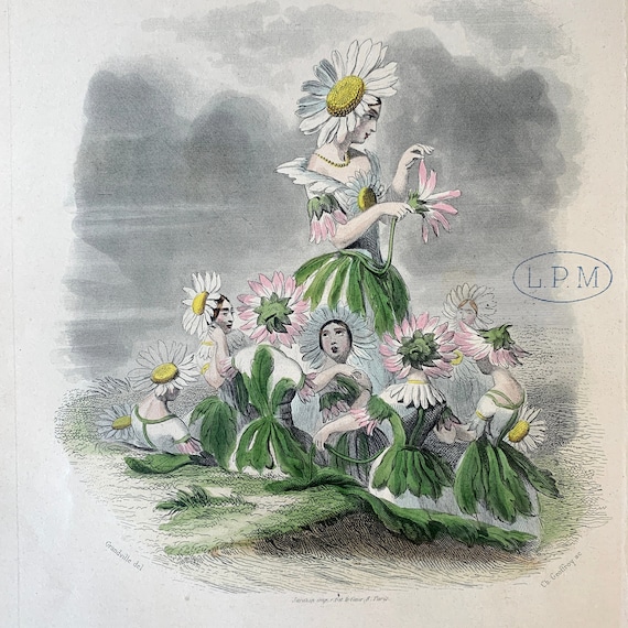 ロピア 爆買い Engraving Botanical Antique 1867 With Flower Lady 洋楽