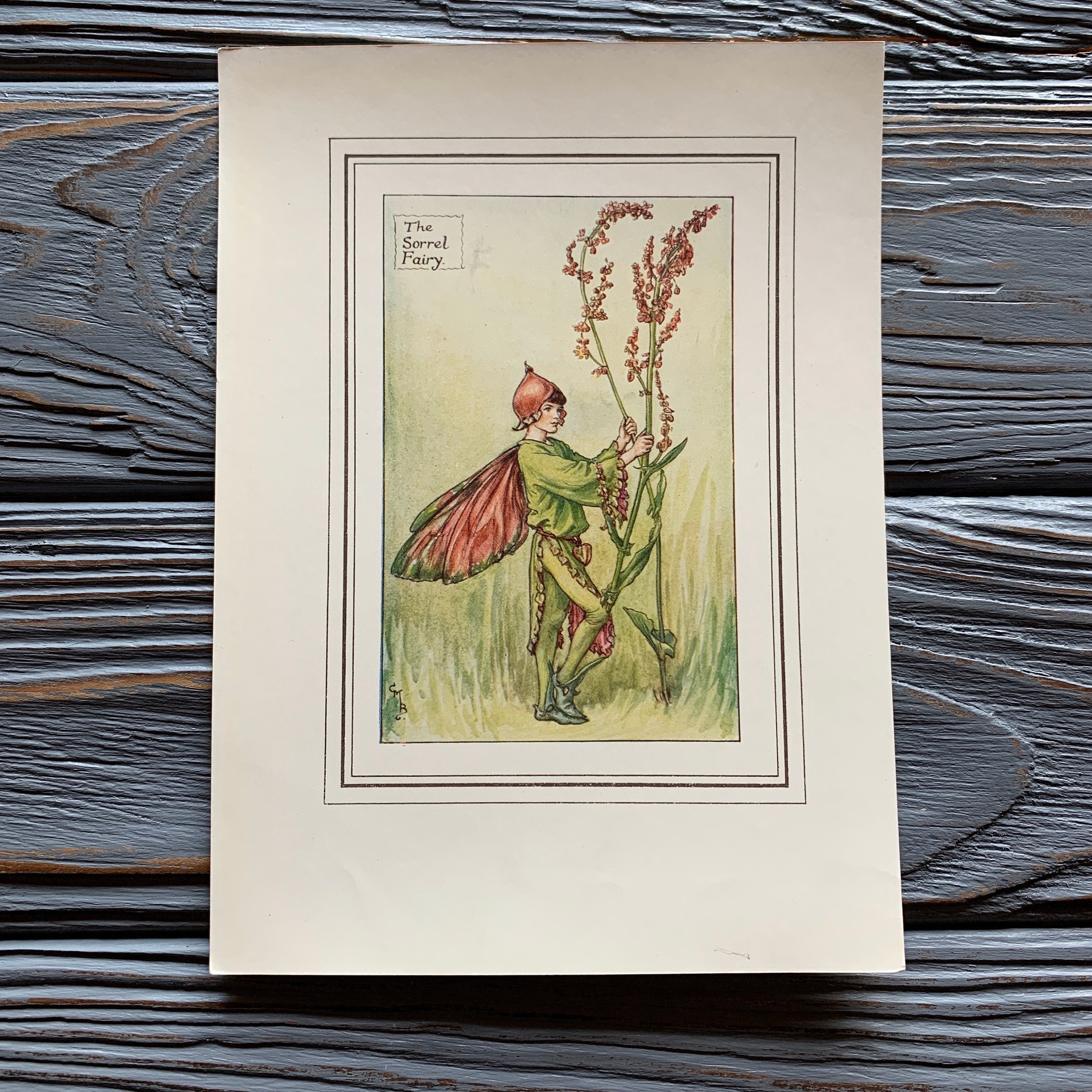 1944 アンティークフラワーフェアリープリント、スイバの妖精