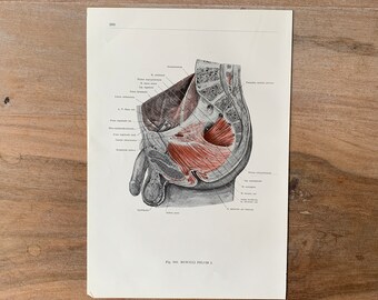 il_340x270.4396144264_lam4.jpg