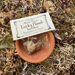 May include: A small brown clay dish containing a clear plastic bag with a dried root. The bag has a label that reads "Madame Phoenix's Lucky Hand Spell Root Proudly handmade in Canada."