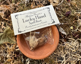 Lucky hand root