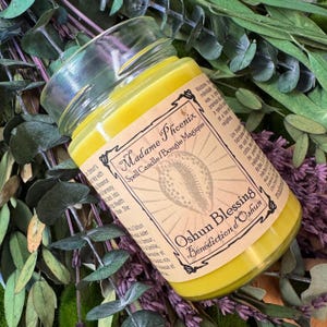 May include: A yellow spell candle in a glass jar. The label reads "Madame Phoenix Spell Candle" and "Oshun Blessing". The candle is surrounded by green and purple foliage.
