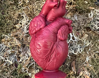 True Heart Anatomical Spell Candle