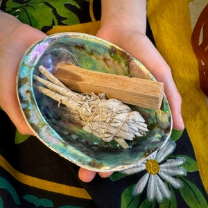 Peut inclure: Un bâtonnet de sauge blanche et un bâtonnet de palo santo en bois sont placés dans une coquille d'ormeau irisée.