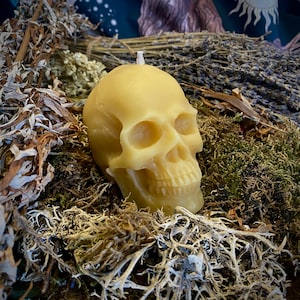 Beeswax skull candle