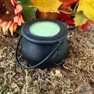 May include: A black cauldron with a textured surface and a handle, filled with a light green substance. The cauldron sits on a bed of moss, with fall foliage in the background, suggesting a Halloween or autumn theme.