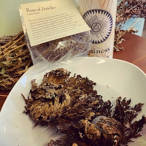 Rose of Jericho