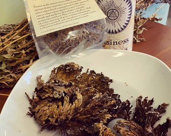 Rose of Jericho