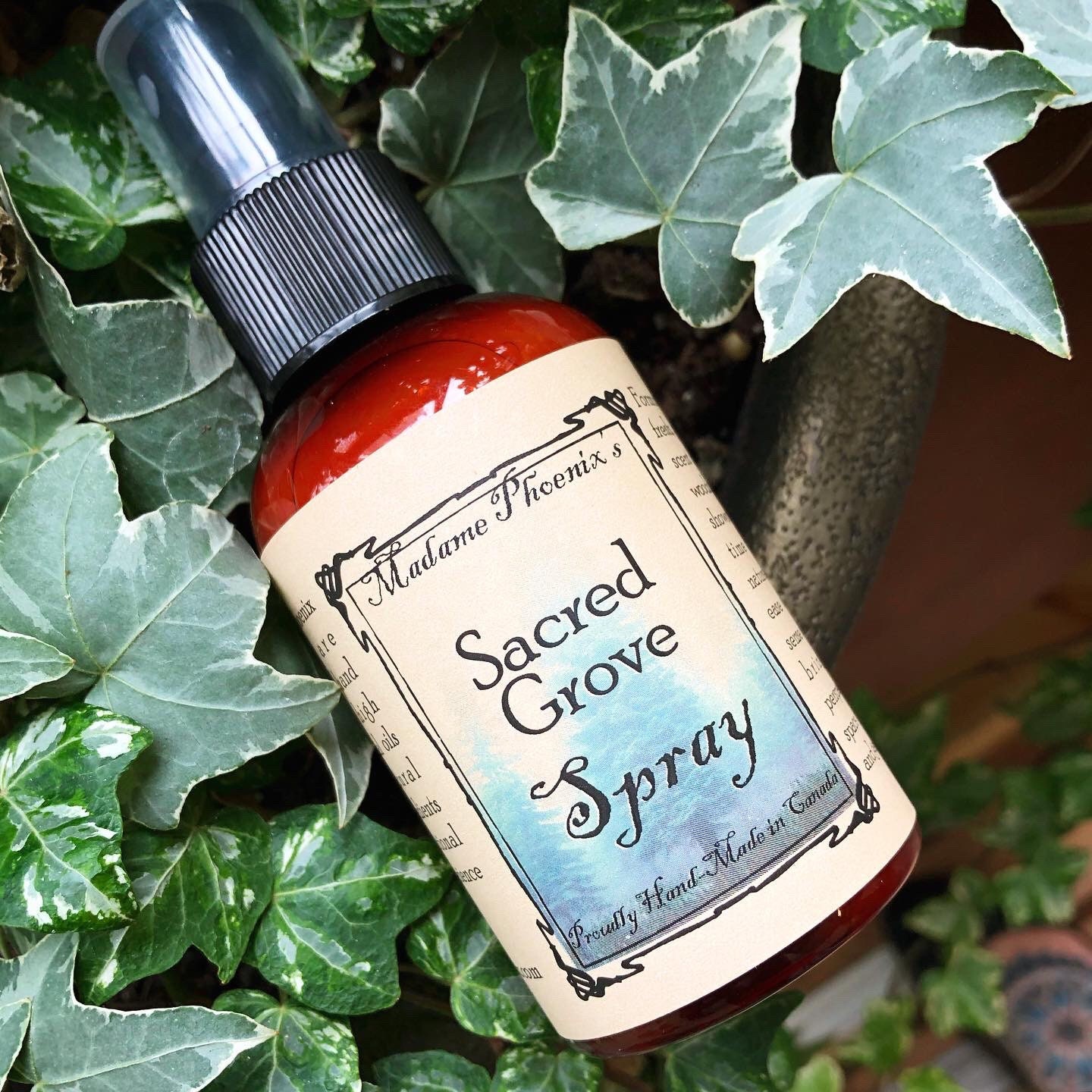 del Bosque de la Sagrada - Etsy España