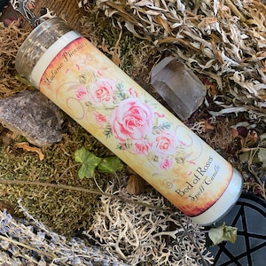 Bed of Roses 7 Day Style Candle