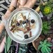 Saining Spiritual House Blessing and Cleansing Ritual Candle - Etsy