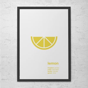 Kitchen Art Poster LEMON Minimalist  Print Giclee Print  Summer Poster Fruit Art Print Kitchen Poster, Cosy Room Decor