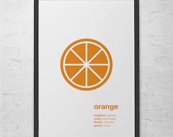 ORANGE Minimalist Print - Kitchen Art,  Poster, Kitchen Decor, Studio Wall Art, Fruit Poster, Kids Room Poster, Cosy Room Decor