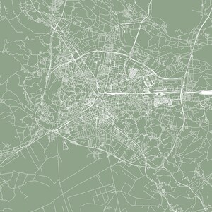 May include: A minimalist map of Ljubljana, Slovenia, in white lines against a muted green background. The city's layout, including roads and waterways, is detailed. The word "LJUBLJANA" is printed in white at the bottom. A modern piece of wall art.