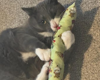 cat nip kicker cat toy