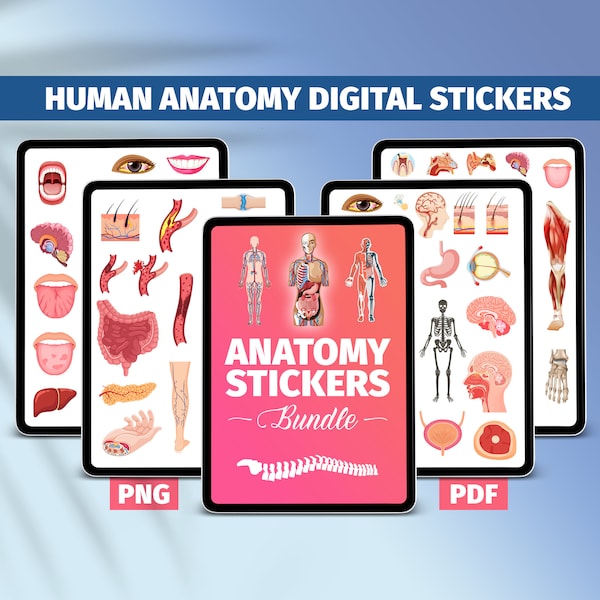 Goodnotes Anatomy Etsy UK