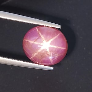 May include: A round, cabochon-cut star ruby gemstone with a deep magenta-pink hue. The stone displays a distinct six-rayed asterism, or star effect, centered on its polished surface. The gemstone is held by a pair of silver-toned metal tweezers.