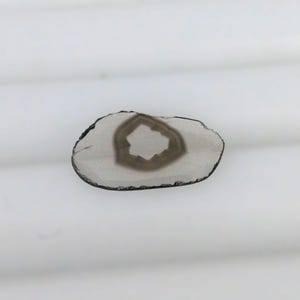 0.41cts Rare Natural Trapiche Polki Slice cut Earth Mined Loose Diamonds