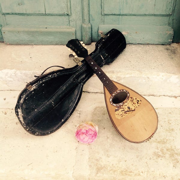 Bowl back mandolin - Utterly charming antique bowl back mandolin with original case - for decoration or restoratIon