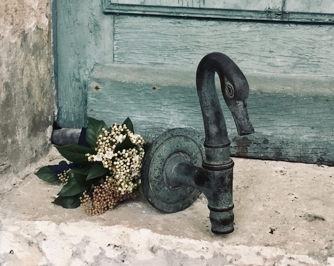 A stunning Antique French early 18th century solid bronze fountain faucet or faucet of swans head design - chateau garden water feature