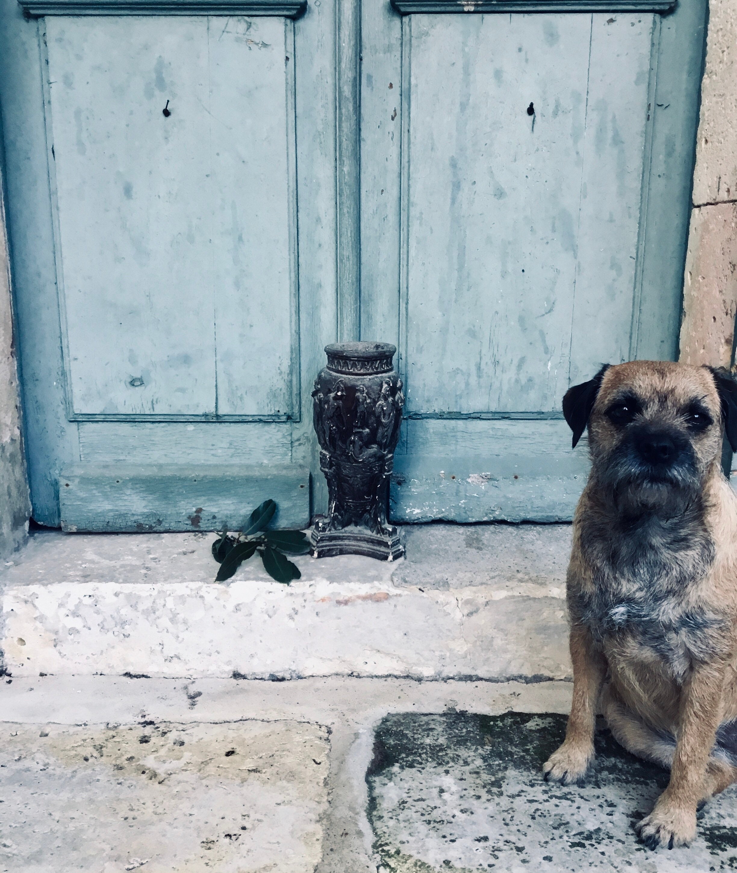 Une Fabuleuse Antiquité Français Urne ou Un Vase en Plâtre Bronzé Du 19Ème Siècle Après L'antiquité.