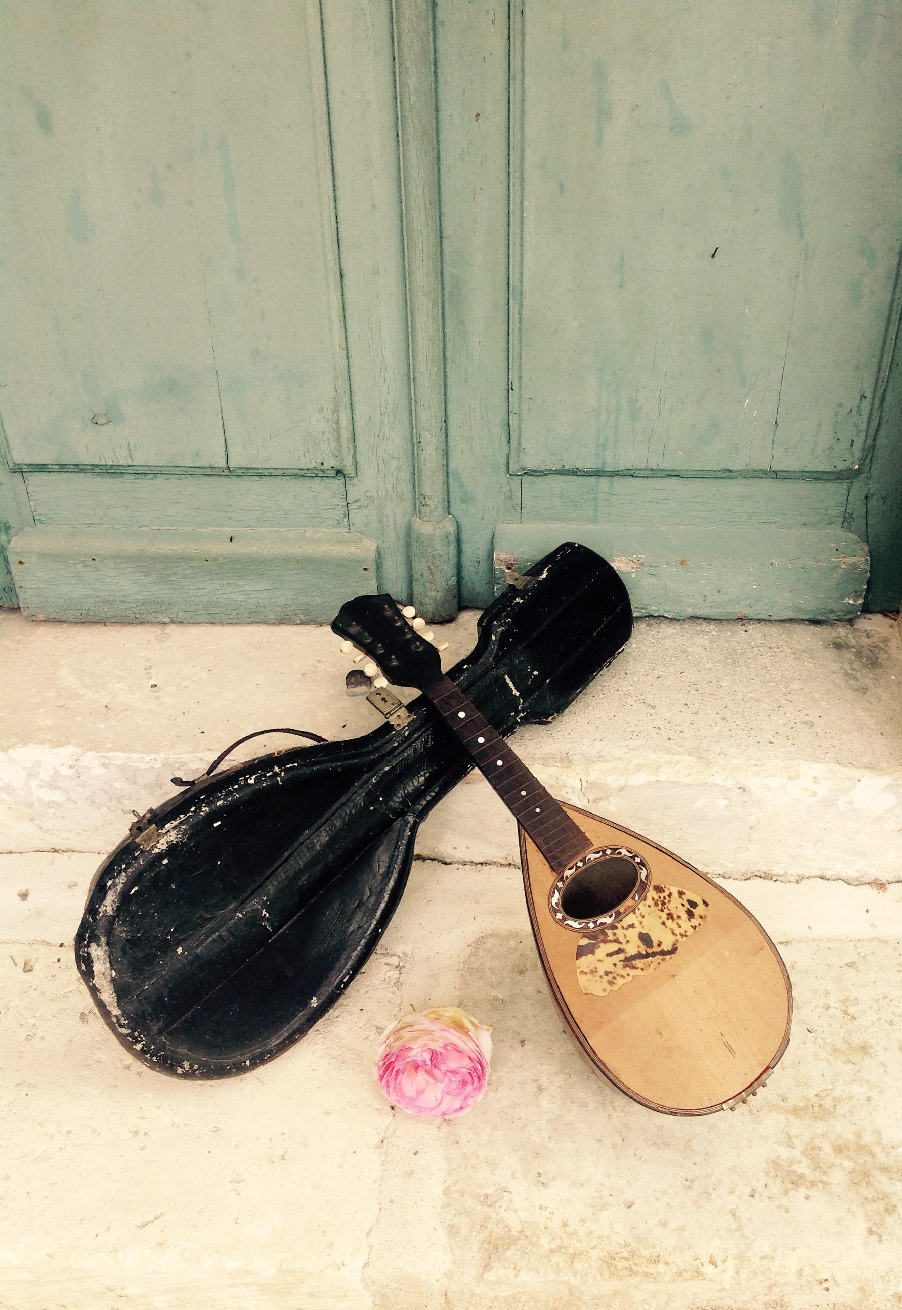 Mandolin Case for sale Only 4 left at 75