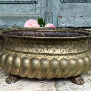 K&ouml;nnte beinhalten: Antiker Messing-Pflanzk&uuml;bel mit L&ouml;wenkopfgriffen und Klauenf&uuml;&szlig;en. Der Pflanzk&uuml;bel hat ein dekoratives Blumen- und geometrisches Muster. Einige rosa Rosen sind im Inneren des Pflanzk&uuml;bels platziert.