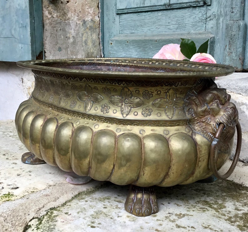K&ouml;nnte beinhalten: Antiker Messing-Blumentopf mit floralen Details und L&ouml;wenkopf. Der Pflanztopf hat eine breite, flache Schalenform mit dekorativem Rand. Die Seiten sind gerippt und der Pflanztopf steht auf drei Klauenf&uuml;&szlig;en. Eine rosa Rose liegt im Inneren des Pflanztopfs.