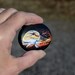 Rabbit Painted Rock Art, Animal Stone Creation of Cute Cottontail ...
