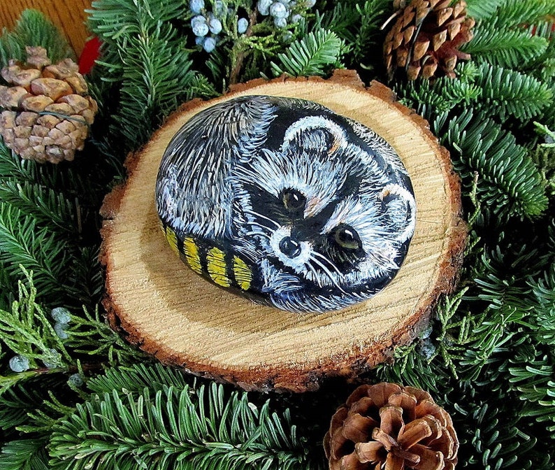 Raccoon Rock Paintings Pet Rock Hand Painted Rock Art | Etsy