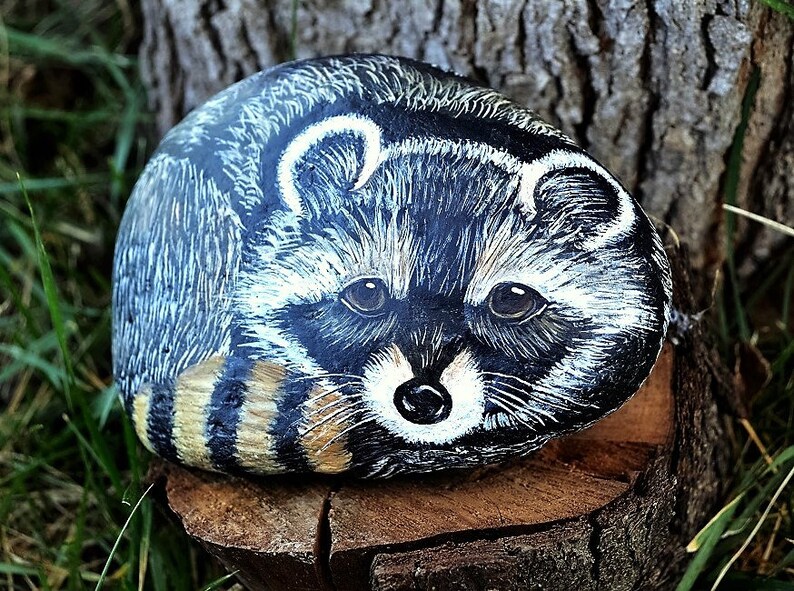 Raccoon Stone Paintings Hand Painted Rocks Raccoon Art Etsy