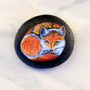 May include: Hand-painted rock art featuring a red fox curled up on a black background. The fox has white fur on its chest and a bushy tail.