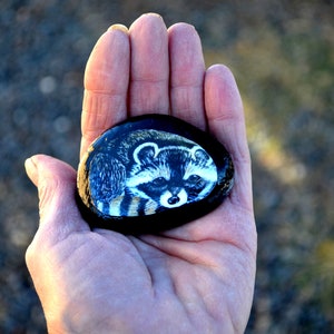 Raccoon Painted Rock Artwork * Original Woodland Totem Animal Art Print on Stone * Pocket Pet Gift * Cute Animal on Stone * Palm Stone Gift